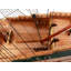 Bateau à modèle batavia