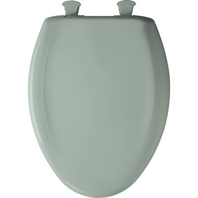 Elongated Toilet Seat and Lid