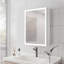 Bathroom Medicine Cabinet With Lights