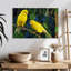 Canari Brampt-107852074