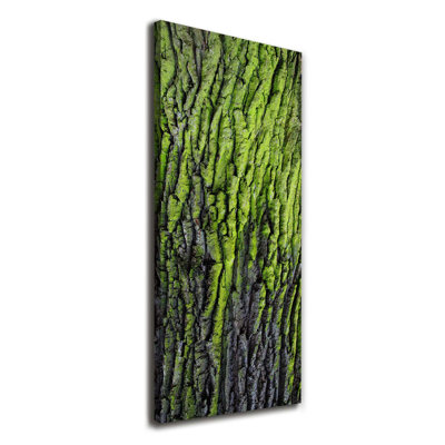 Tree Bark - Wrapped Canvas Print