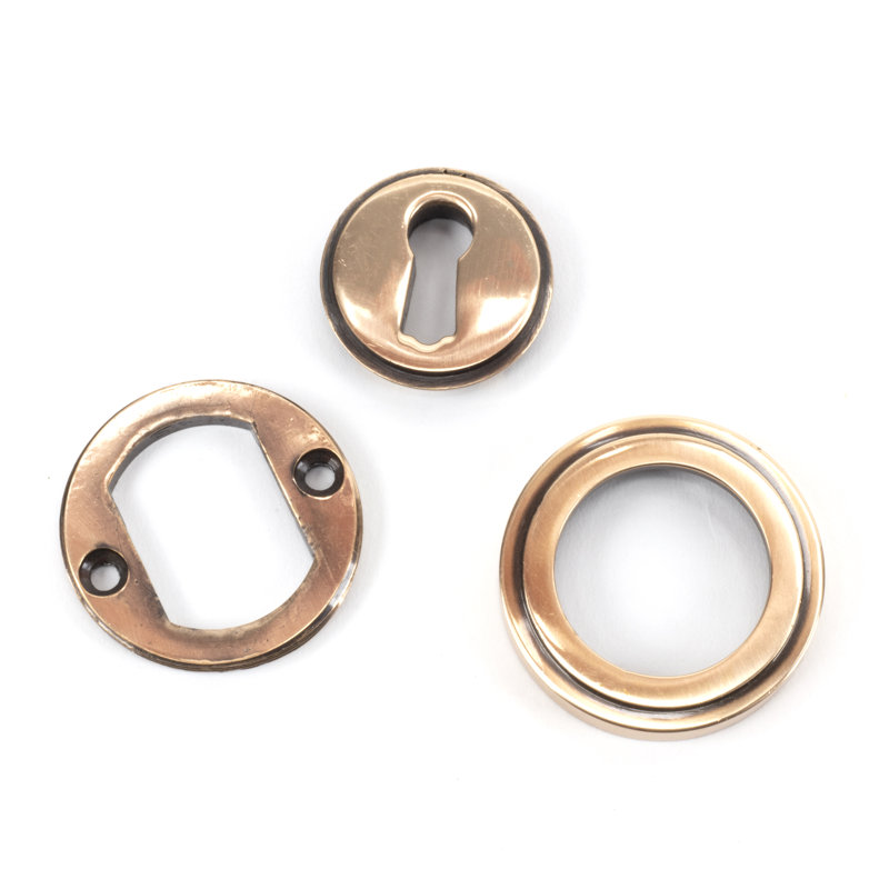 Escutcheon Door Accessory, Polished Bronze