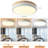 Darniece LED Flush Mount-1314435902