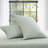 Solid Sheet Set Standard Sheet Set-95240403-95240405
