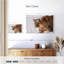 Ronce de lions en hiver-107851895