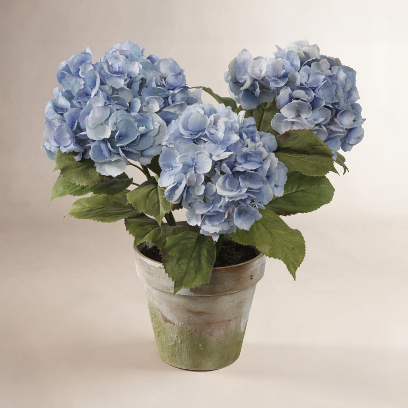 Hydrangea Floral Arrangement, 21" H x 19" W, Green