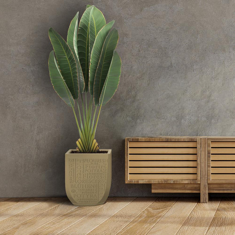 Cachepot, Beige