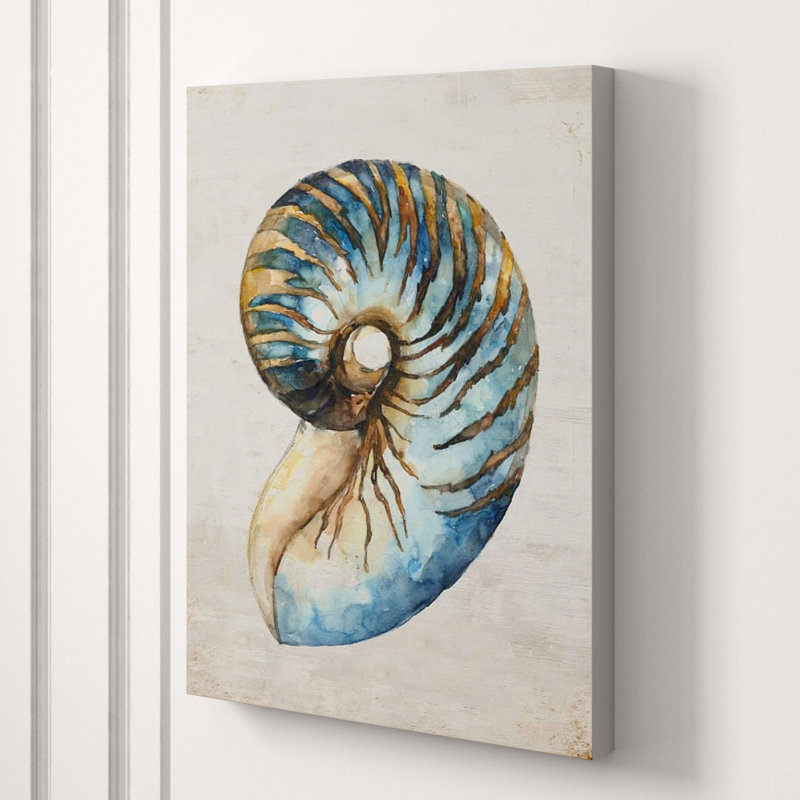 Shell Compilation III Print by Beverly Fuller, 48" H x 36" W x 1.5" D, Glass Coat
