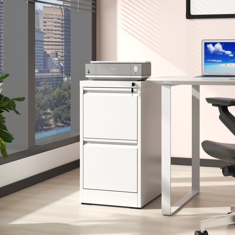 2 Drawer Metal Vertical File Cabinet With Lock, For Office/home Use, Tilt, Spacious Organization Drawers, Office/home, Build,