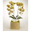 Orchid Faux Floral in Planter-1846719861