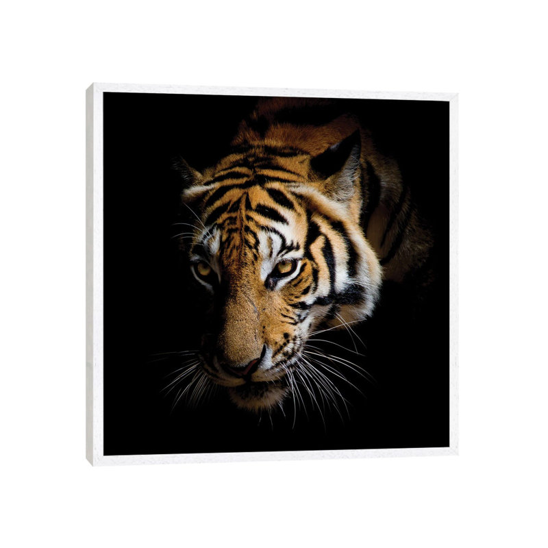 Harm 1 Piece Wall Art on Canvas, 93.98 cm H x 93.98 cm W, White Framed