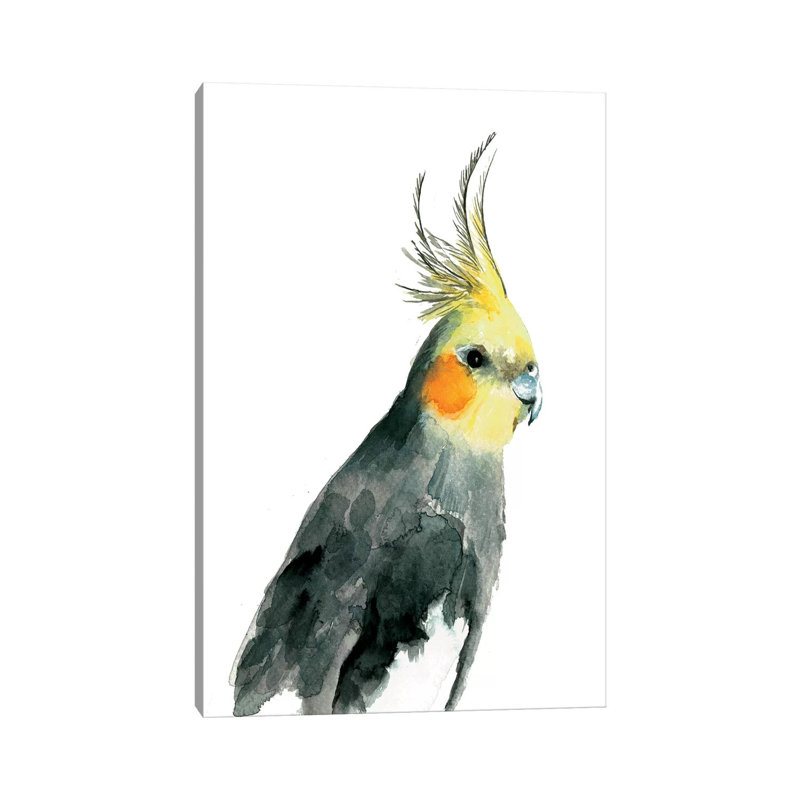 Cockatiel II 1 Piece Wrapped Canvas Painting, 20.32 cm H x 30.48 cm W
