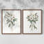 Impression encadrée Mountain Laurel I-Premium - prête à être accrochée - aucun clou requis - aucun clou requis-624468759-624468779