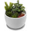 Edolie 17.8 cm Indoor Ceramic Pot Planter-996614700