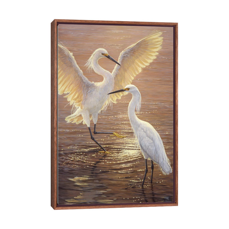 «Evening Duet - Snowy Egrets», reproduction d'art murale encadrée, Brun, Reproduction encadrée sans passe-partout