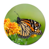 Beautiful Butterfly Print