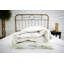ReDown All Season Down Comforter-606828876