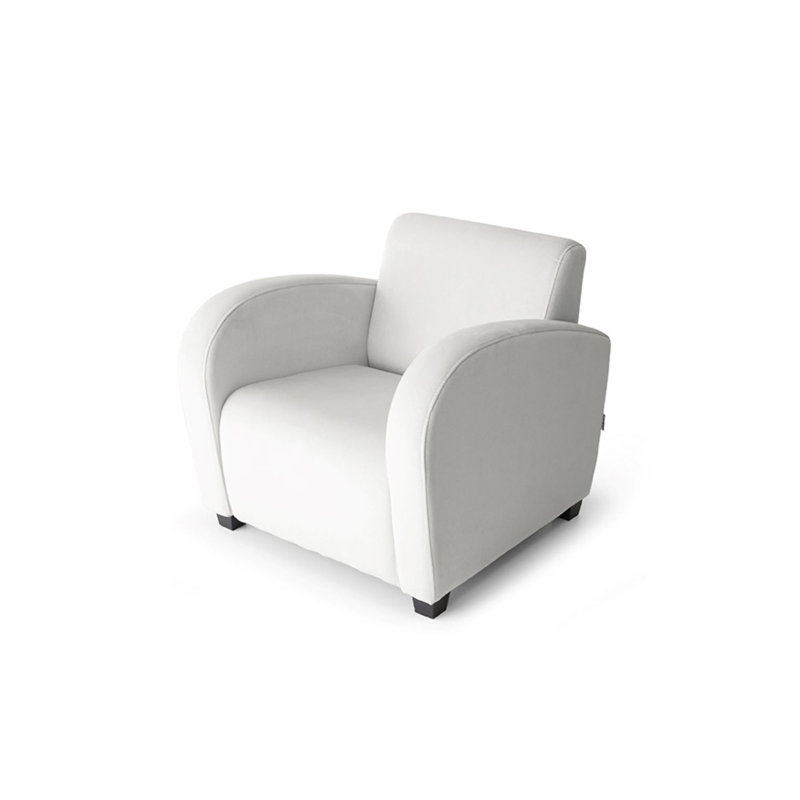 Anusoya Upholstered Armchair