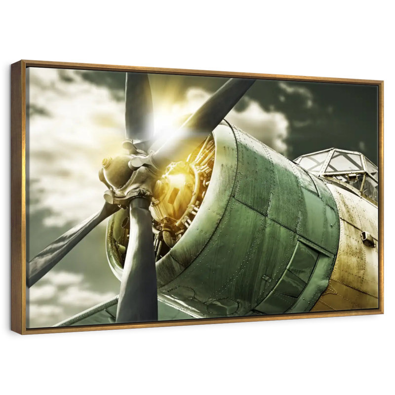 Vue du ciel de l'ancien avion, Cadre flottant doré, 37 po x 25 po