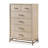 Demmer 5 Drawer 36.3" W Chest