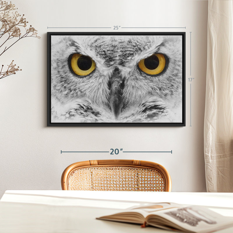 Animal «Gazing Bold Owl», reproduction sur toile, H 17 po x l 25 po