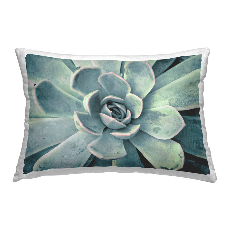 Coussin Green Cactus