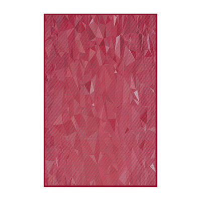 Indoor Rug