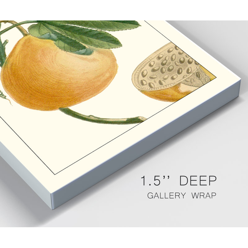 " Turpin Exotic Botanical III ", 36" H x 24" W x 1" D