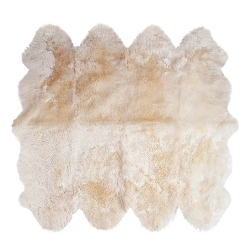 Fraley Sheepskin Indoor Rug, Novelty 5' x 6'8"