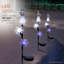 Christmas Decoration