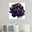 Pivoine noire - Impression sur toile-80844208-80844207