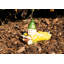 Gnomes Resin Garden Statue