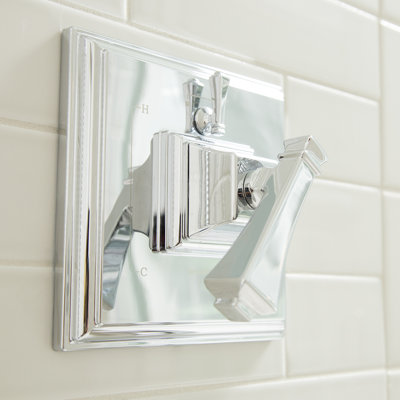 Rainier Shower Diverter Valve Trim