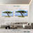 Acacia Tree In Savannah-817386514