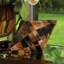 Triangle Cone Box-Brown Horn