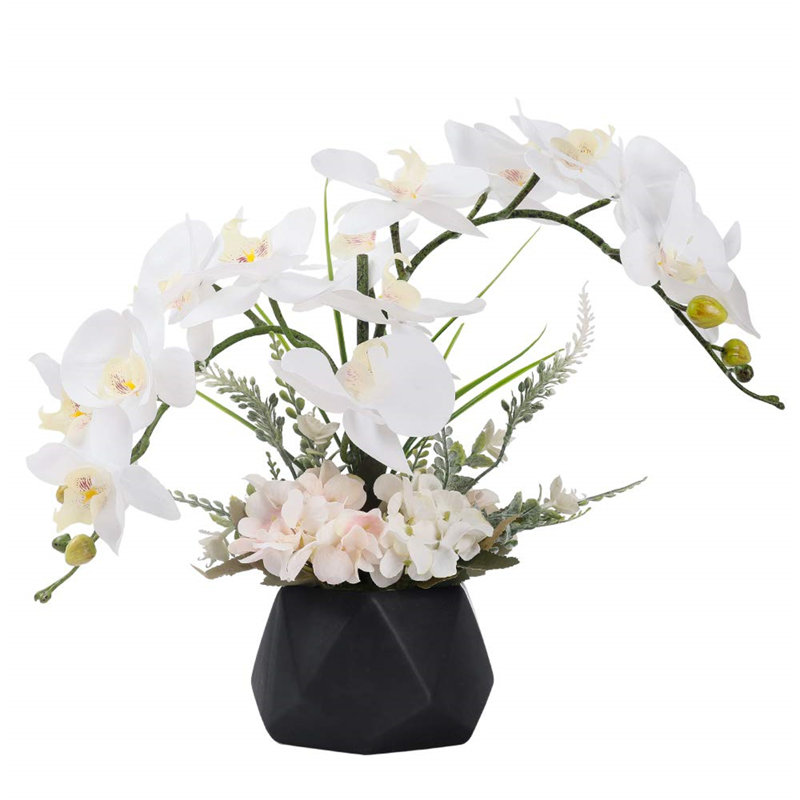 Roudy Arrangement, Black