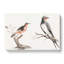 Songbird & Bee-eater Bird by Johan Teyler - Wrapped Canvas Painting-55340930