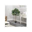 Burkitt 122cm Plant: Lifelike & Zero Maintenance