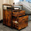 Aeniah 17.5'' Wide 2 -Drawer Mobile File Cabinet