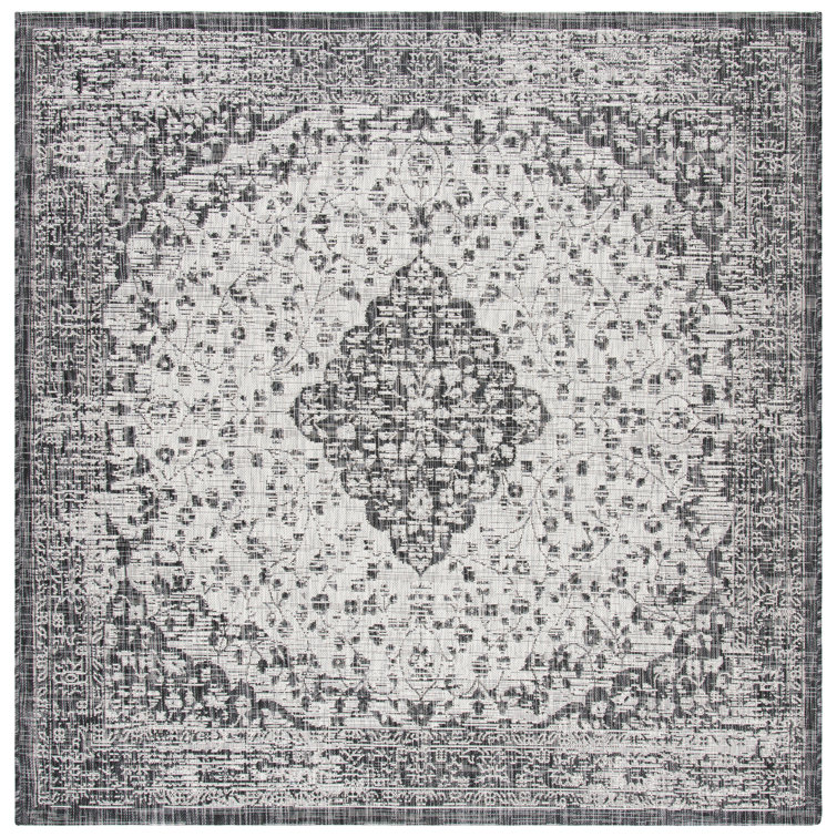 Arneshia Oriental Indoor/Outdoor Area Rug