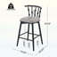 Chaises d'appoint d'intérieur, ensemble de 2-1298809111