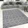 Crumbley Southwestern Cotton Hand Woven Area Rug