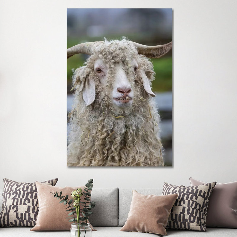 USA, Oregon. Old Goat Close-up. by Jaynes Gallery - Wrapped Canvas Print, 152.5 cm H x 101.5 cm W