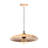 Rozalee 1 - Light Single Pendant-1700075395