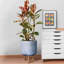 Geometric Patterned Cylinder Planter with Feet-350652353-350652381