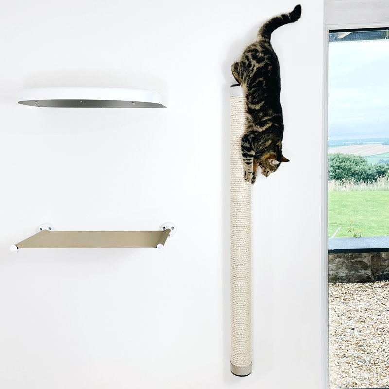 Deemer 115 cm H Cat Scratchers