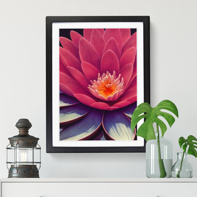 Water Lily Flower Close Up - Single Picture Frame Print, Black, 34cm H x 25cm W x 2cm D