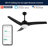 Clorice 52'' Ceiling Fan with LED Lights-469123301