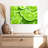 Yarlin Lime Slices-108730364