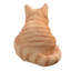 Chat tigré orange au repos-126248606